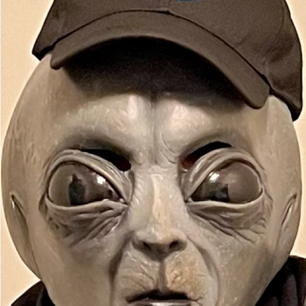 Alien Astronaut - image 3